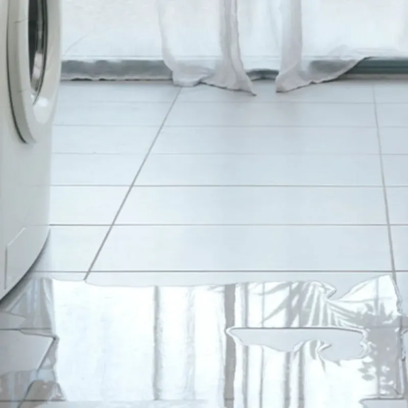 Appliance Leak Cleanup in DeKalb County, IL
