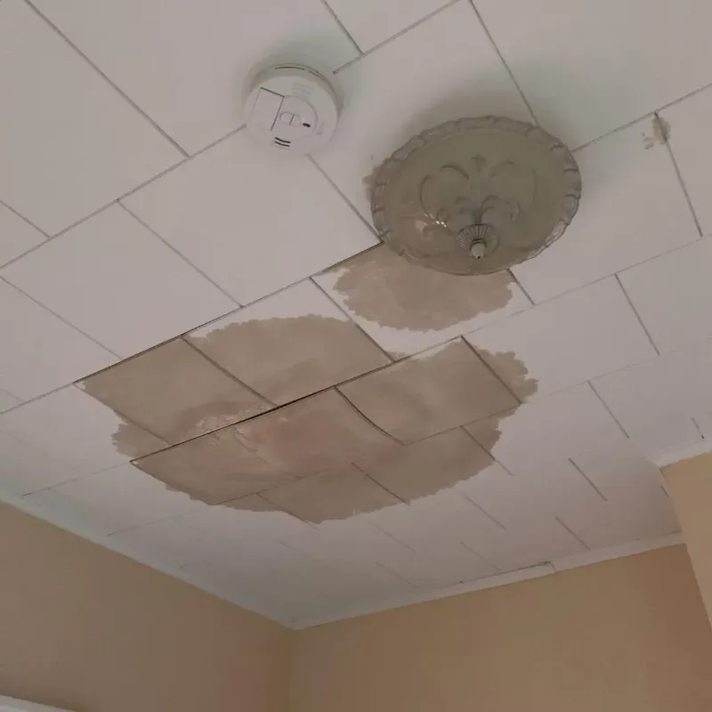 Ceiling Water Damage Repair in DeKalb County, IL