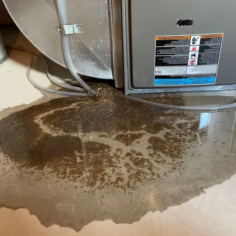 Pipe Burst and Leak Restoration in DeKalb County, IL