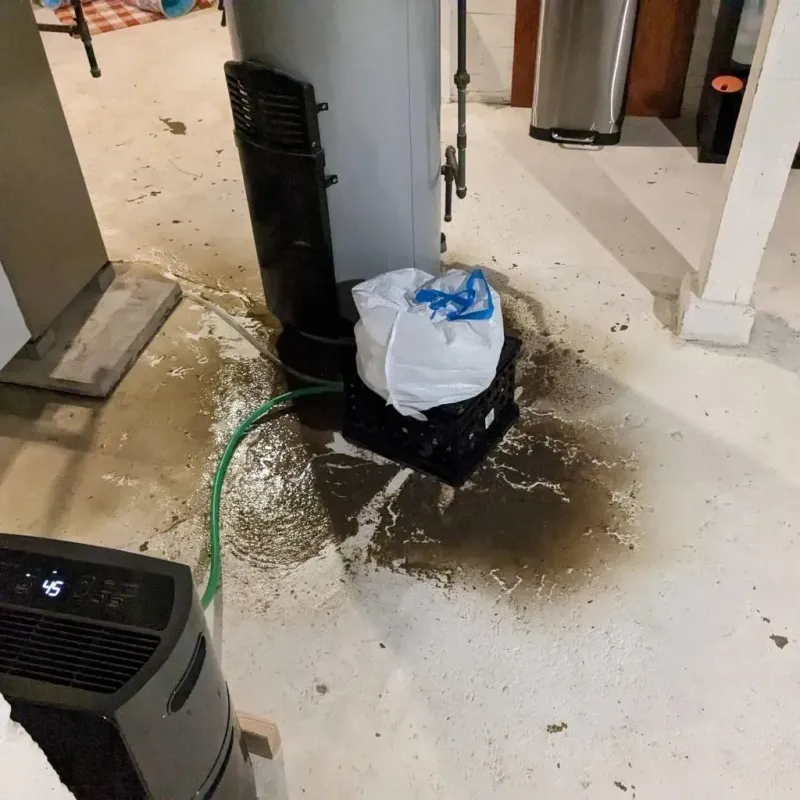 Sewage Backup Cleanup Service in DeKalb County, IL
